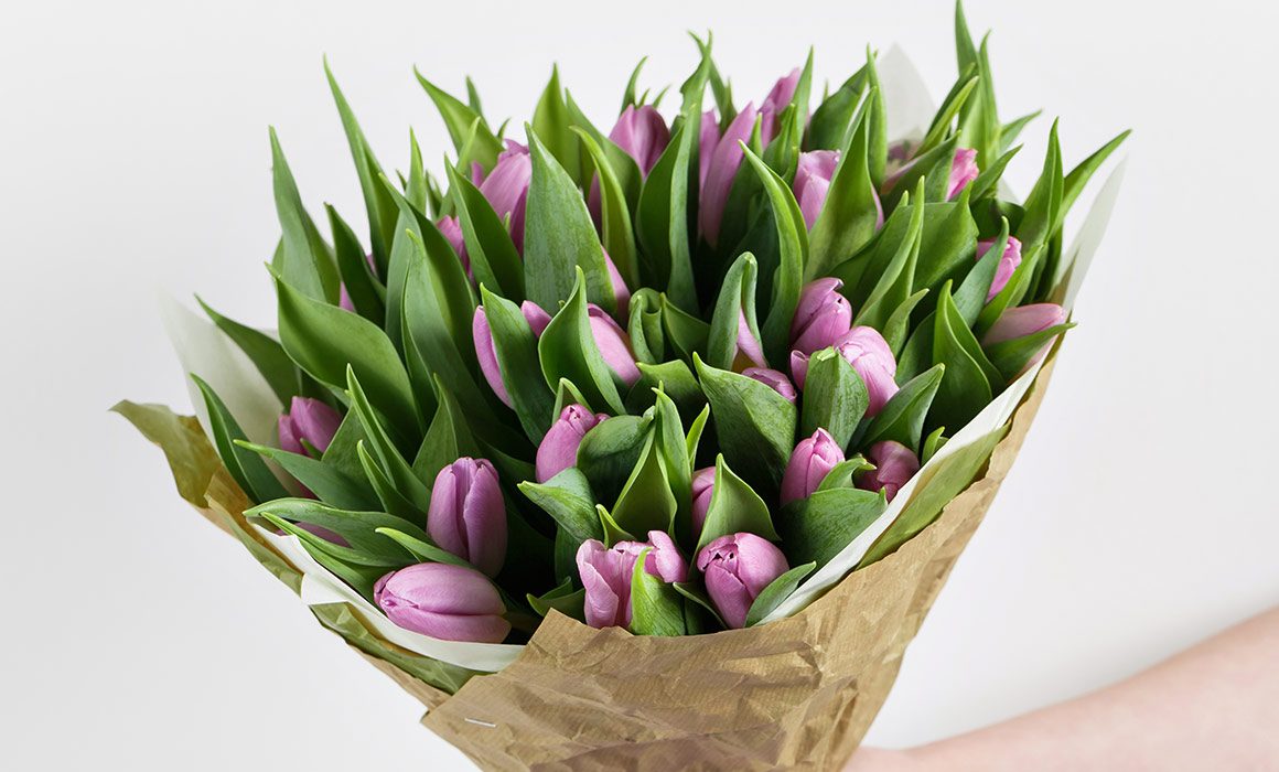 Precious Lavender Tulips